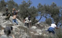 Israeli settlers attack against Palestinian farmers in northern West Bank