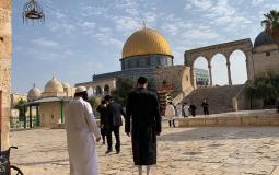 Israeli settlers break into Al-Aqsa Mosque