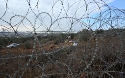 Israeli settlers steal the Palestinian olive crops in lands near settlements