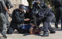 Israeli occupation forces assault Palestinian youths in Bab al-Amud