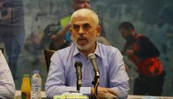 260521_ASH_1_00 (49)