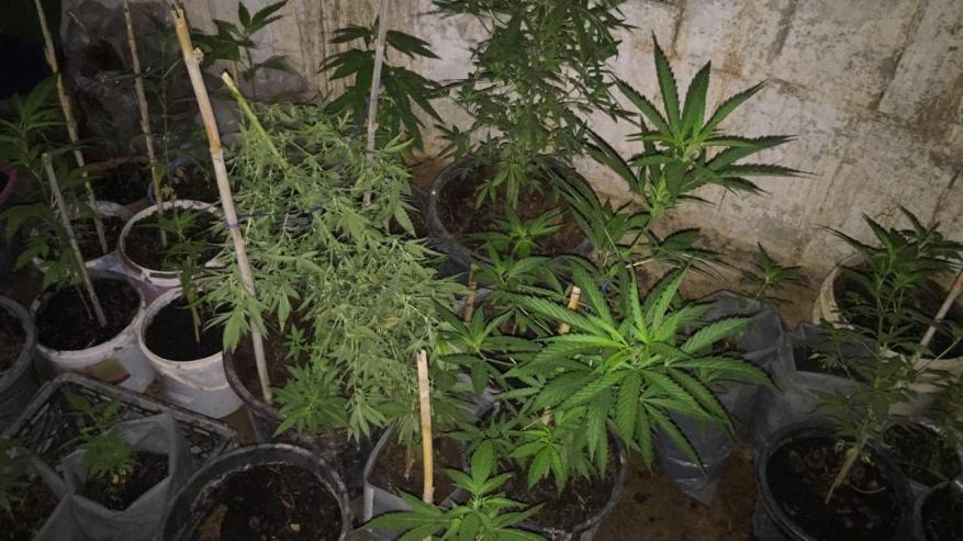 photo_٢٠٢٠-٠٧-١٩_١١-١١-١٥