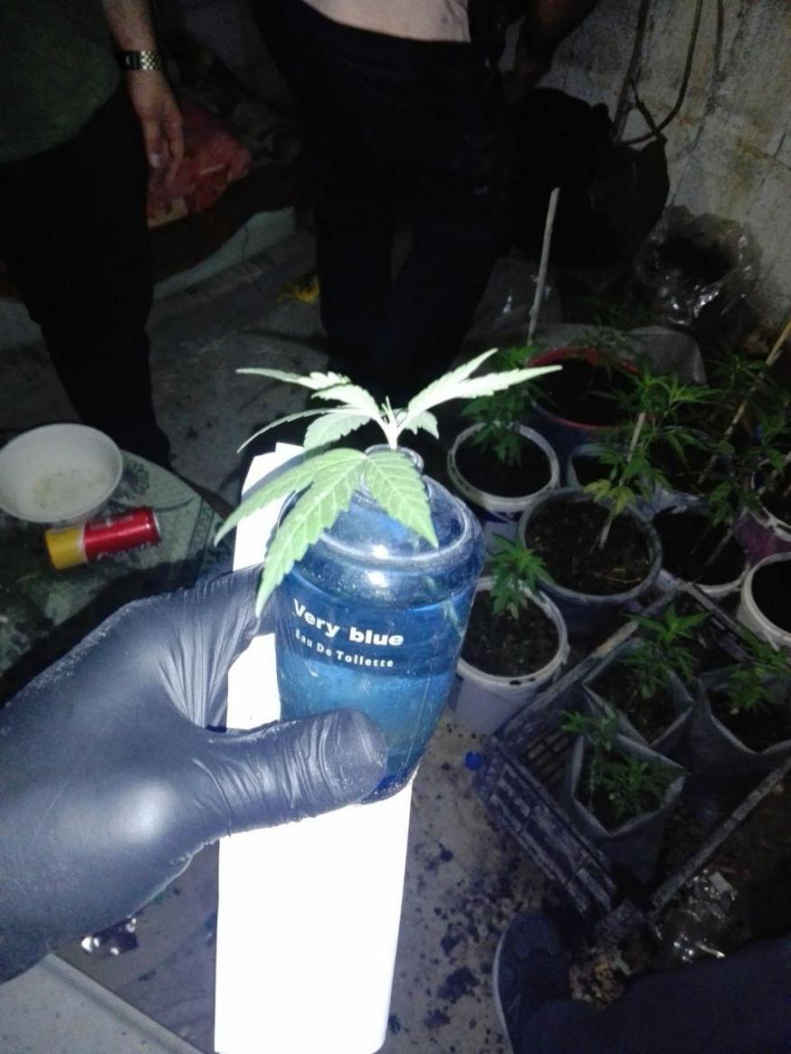 photo_٢٠٢٠-٠٧-١٩_١١-٠٦-٠٤