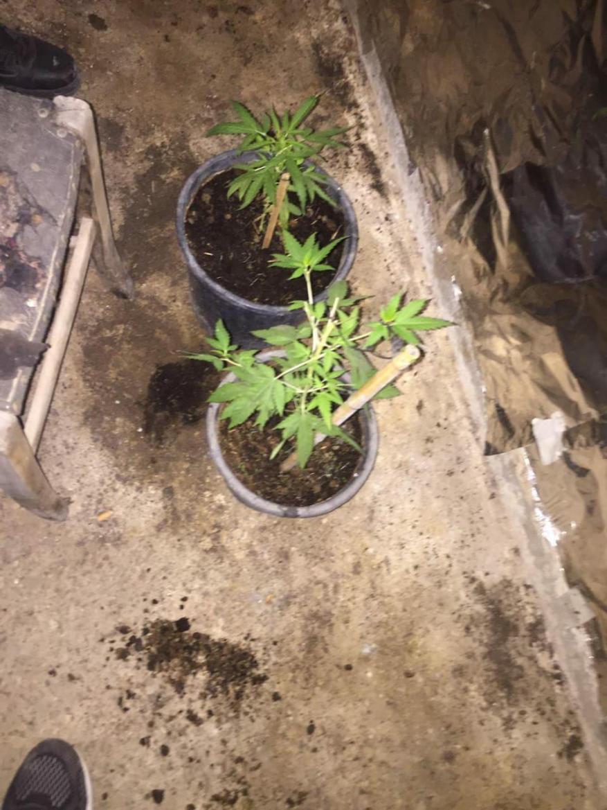 photo_٢٠٢٠-٠٧-١٩_١١-١١-١٠