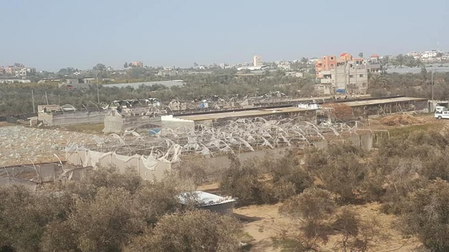 51351646_3236675966374801_2631718619096023040_n