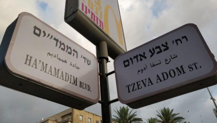 67648952_774926046257667_1821114091108827136_n