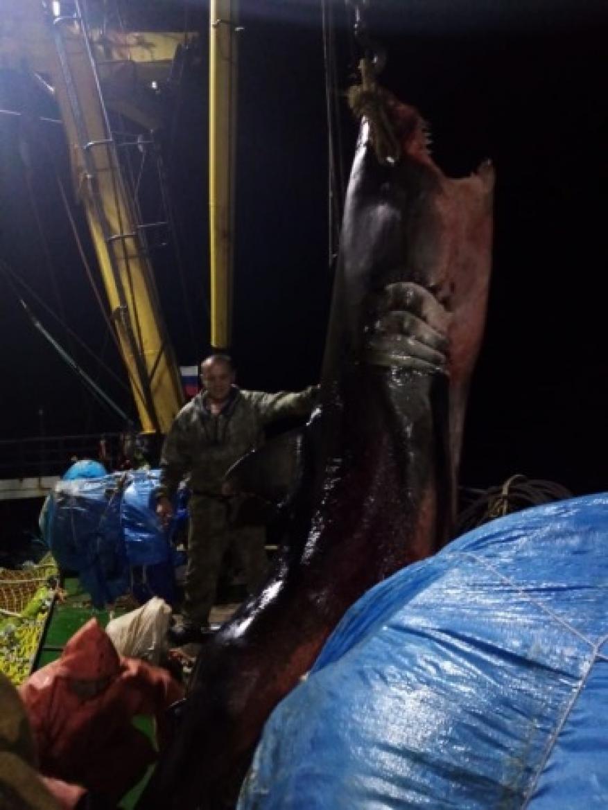 2030566_850x500_fit-3603294640