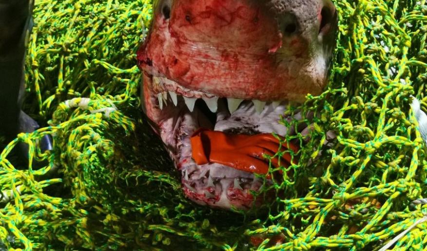 2030564_850x500_fit_and_crop-2878232772