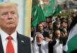 ترامب وفلسطين