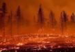 استراليا تعلن حالة كارثة حرائق