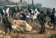 الاحتلال ومستوطنوه يحرفون أراضٍ ويقتلعون أشجار زيتون في جنين ونابلس