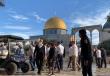 147 مستوطناً يقتحمون الأقصى وسط دعوات فلسطينية للحشد والرباط في المسجد