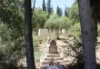 الاحتلال يجبر عائلة فلسطينية على نبش قبر نجلها ونقل جثمانه