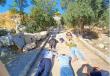 مستوطنون يدنسون المسجد الأقصى اليوم