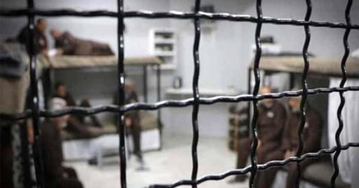 فلسطين – مركز فلسطين: الحبس الانفرادي للقاصرين يزداد سوءاً ويهدد صحتهم فلسطين – مركز فلسطين: الحبس الانفرادي للقاصرين يزداد سوءاً ويهدد صحتهم
