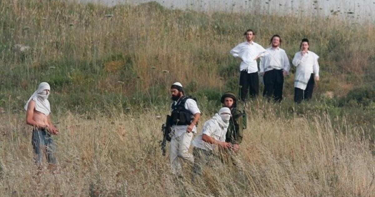 فلسطين – جرحى خلال اعتداءات مستوطنين جنوب نابلس واعتداءات في طوباس وأريحا