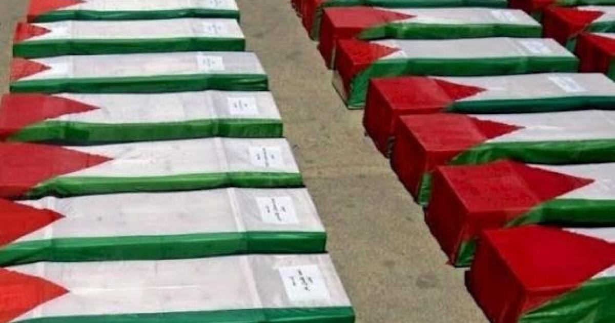 فلسطين – المئات من غزة.. الاحتلال يواصل احتجاز جثامين 776 شهيداً