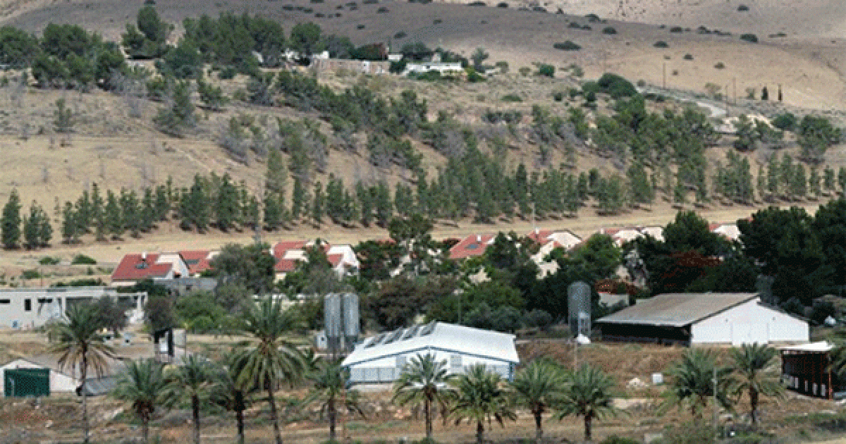 فلسطين – مستوطنون يبدأون ببناء بؤرة استيطانية في الأغوار الفلسطينية
