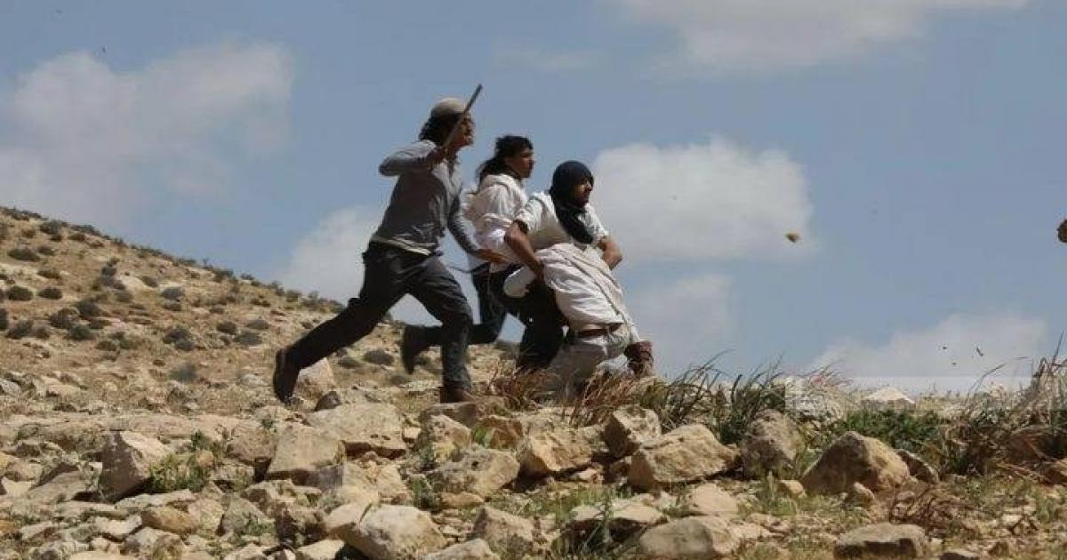 فلسطين – مستوطنون اعتدوا بالضرب على طفل وحاولوا دهس آخرين في مسافر يطا