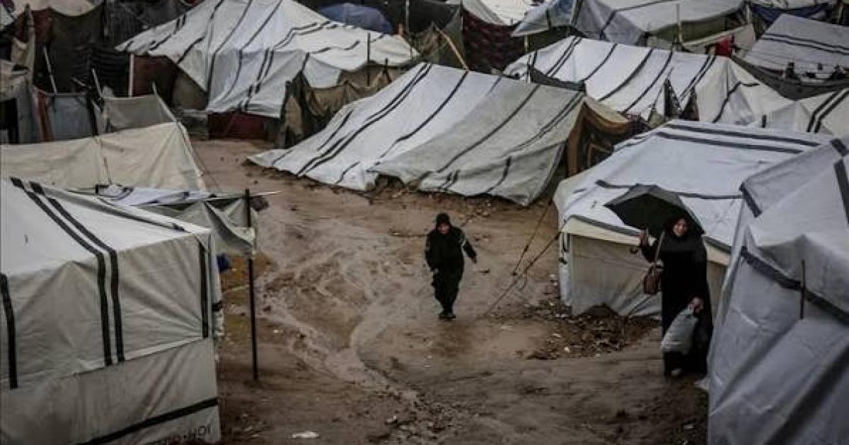 فلسطين – خاص: أمطار ورياح وأتربة.. المتنبئ الجوي يوضح لشهاب تفاصيل المنخفض الجوي المتوقع يوم الأربعاء فلسطين – خاص: أمطار ورياح وأتربة.. المتنبئ الجوي يوضح لشهاب تفاصيل المنخفض الجوي المتوقع يوم الأربعاء