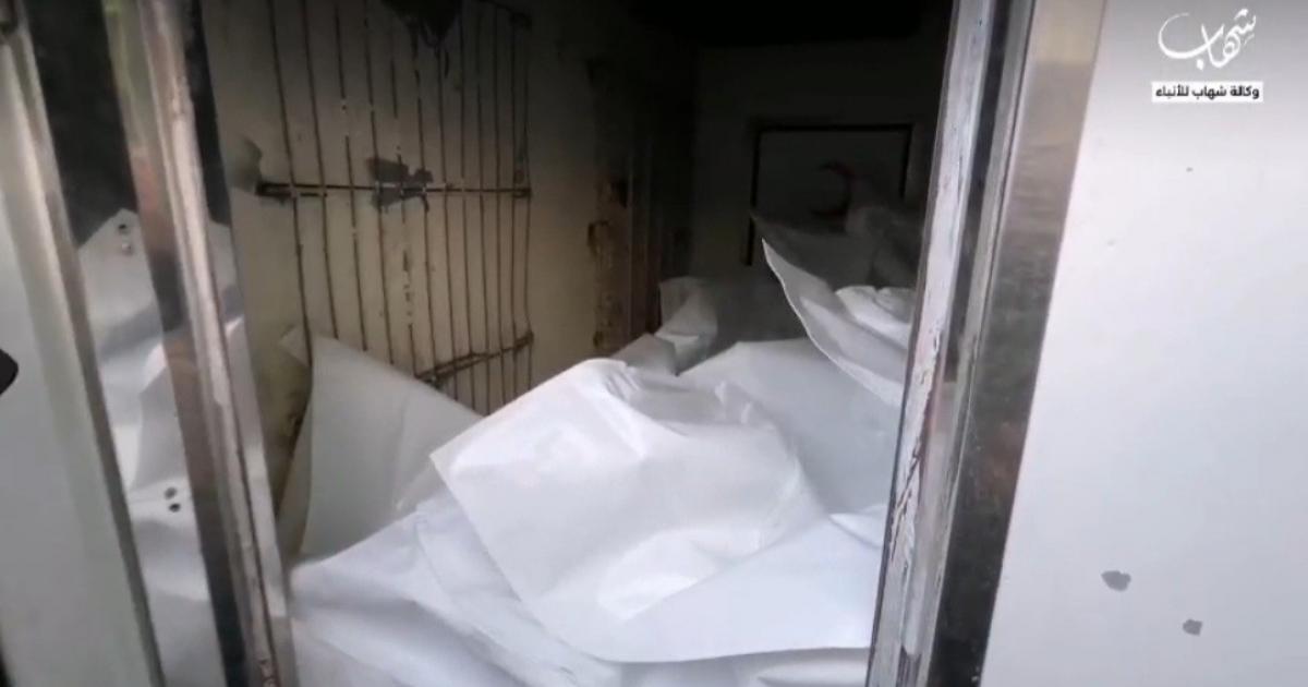 فلسطين – في فيديو الوحيدي لشهاب: وصول 15 جثة إلى مجمع الشفاء بغزة يرفع عدد الجثث التي تم استقبالها إلى 360