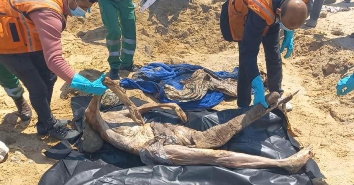 فلسطين – بصل: 8000 جثة تحت الأنقاض و3000 مفقود في غزة