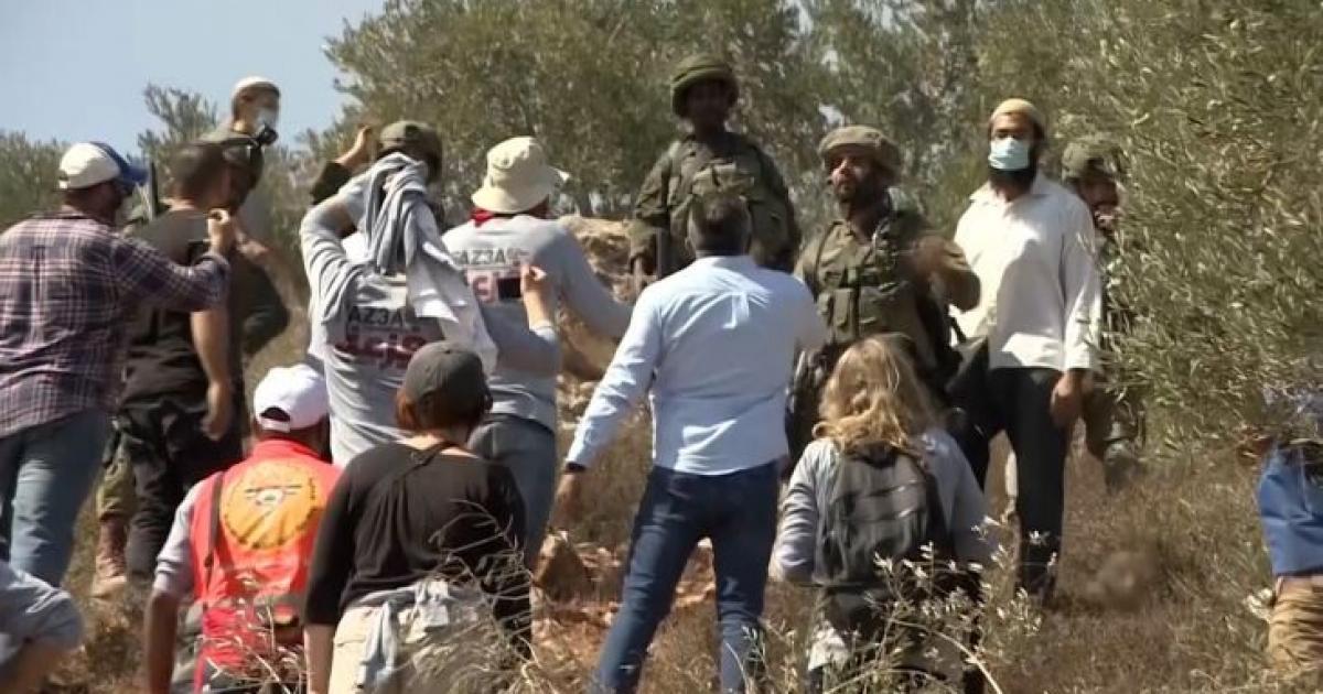 فلسطين – تصاعد اعتداءات المستوطنين في الضفة الغربية والقدس المحتلة وسط اضطهاد المزارعين والرعاة