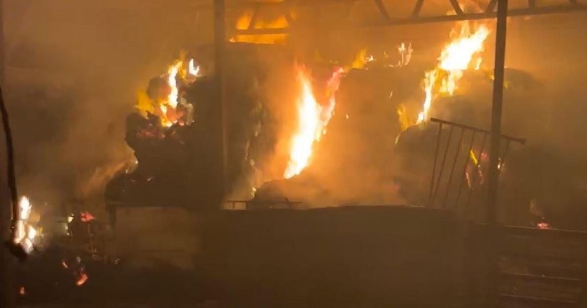 فلسطين – إصابة شاب بالرصاص والاحتلال يواصل مداهماته وحملات الاعتقال في الضفة الغربية