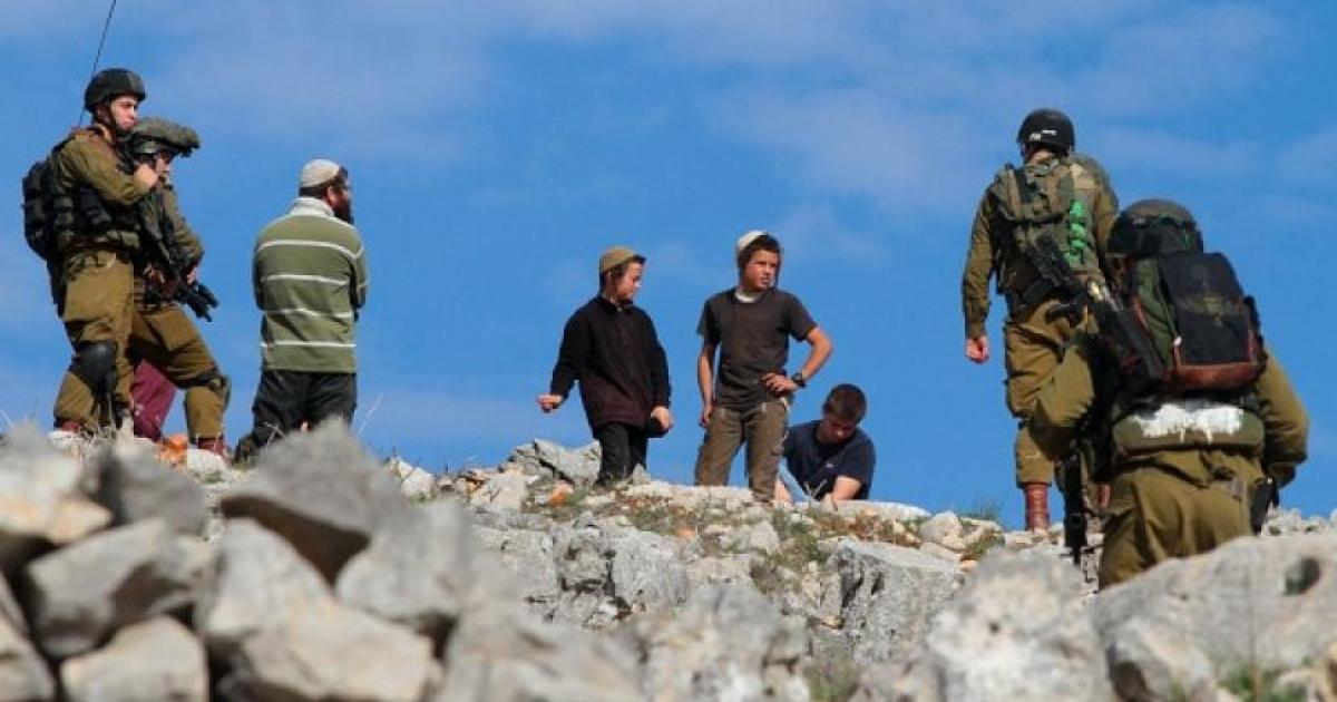 فلسطين – إصابة امرأة بهجوم مستوطنين في مسافر يطا جنوب الخليل