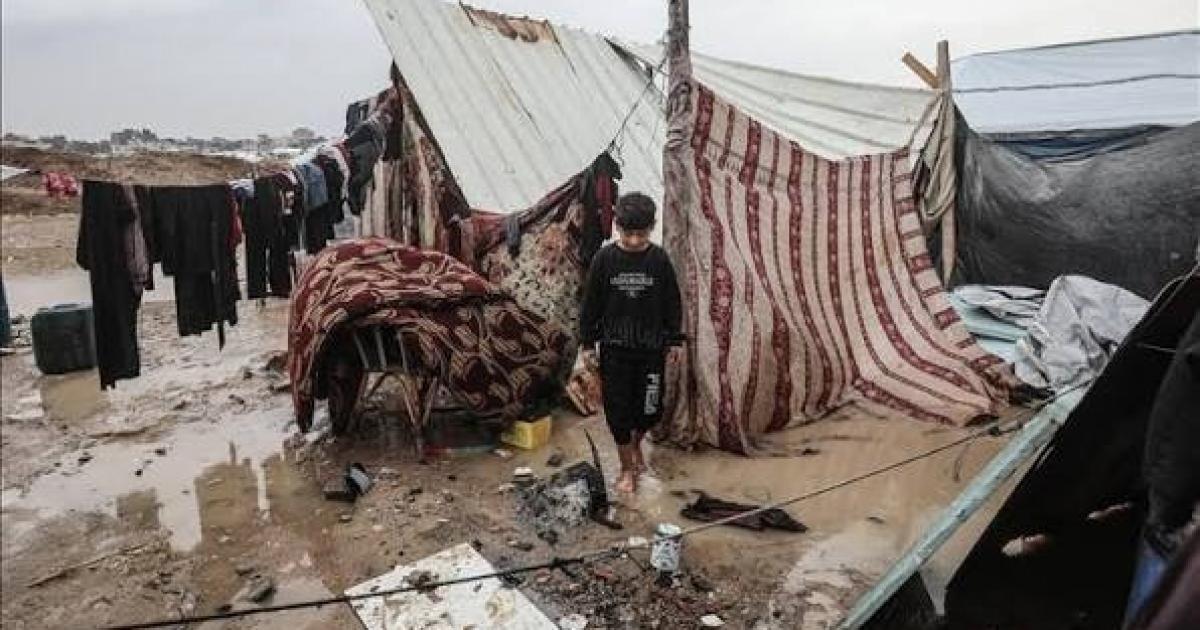 فلسطين – خاص: خبيران لشهاب: منع دخول القوافل إلى غزة يفاقم المأساة ويكشف فشل المجتمع الدولي