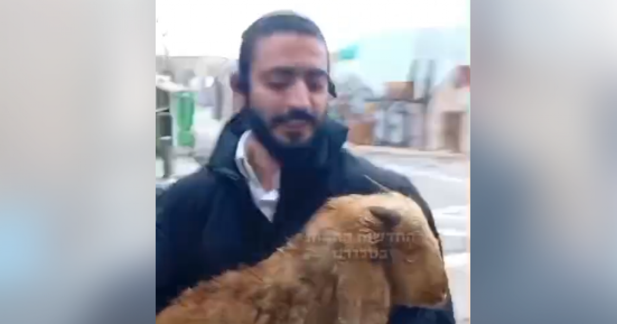 فلسطين – حماس: محاولات المستوطنين تقديم الأضاحي للأقصى تصعيد خطير واستفزاز لمشاعر المسلمين فلسطين – حماس: محاولات المستوطنين تقديم الأضاحي للأقصى تصعيد خطير واستفزاز لمشاعر المسلمين