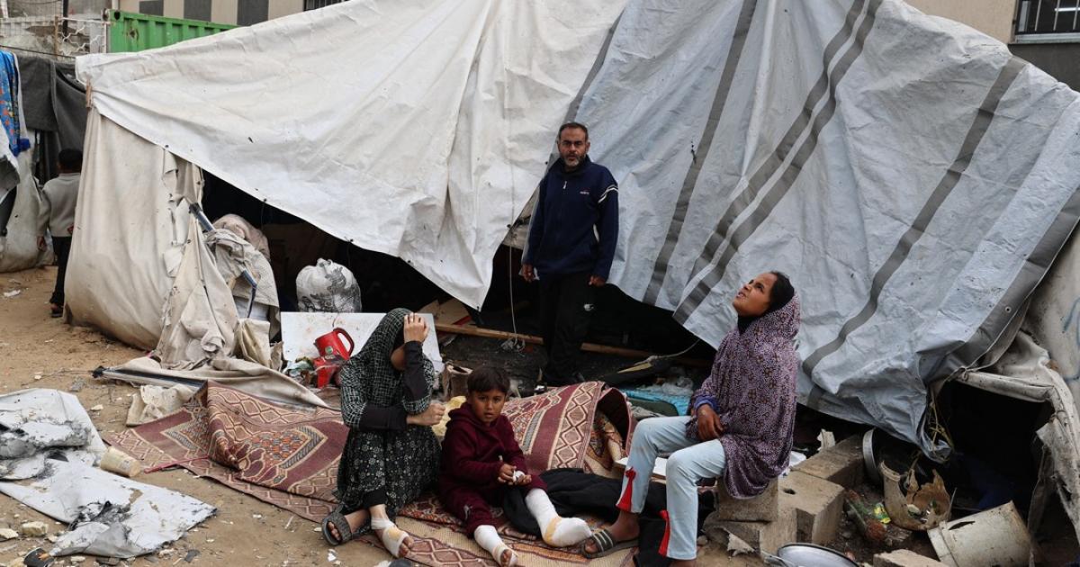 فلسطين – نقل قصص التكيف البائس في غزة.. كيف تعيش الأسر مع ضغوط النزوح اليومية