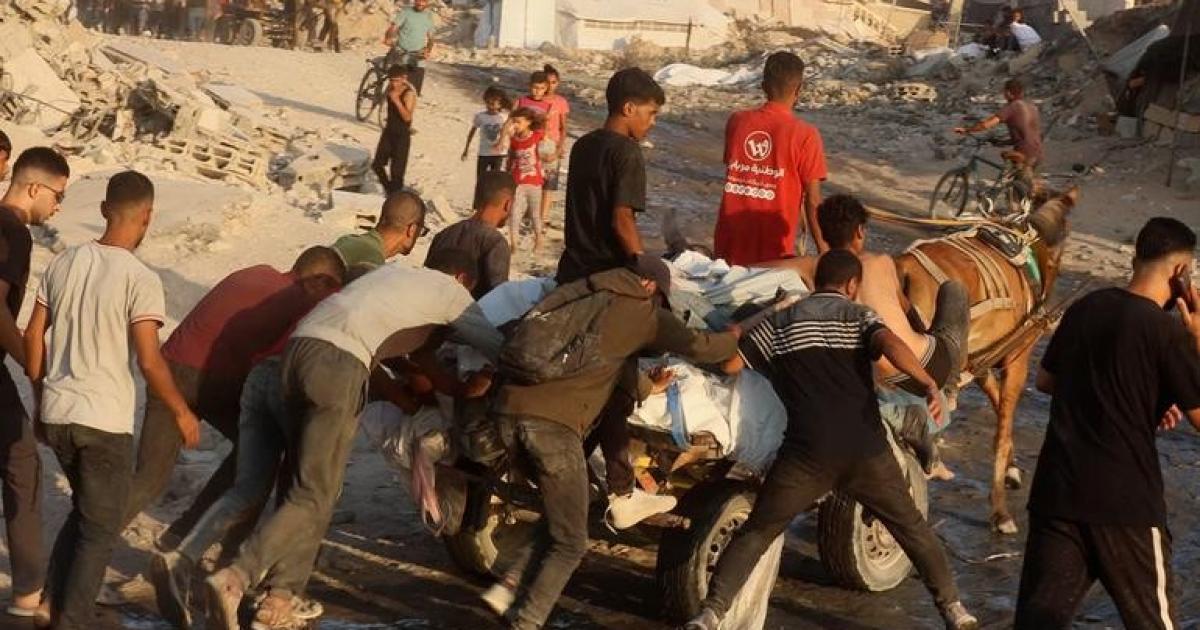 فلسطين – أدلة جديدة أمام الأمم المتحدة: استهداف المساعدات في غزة يكشف عن نمط ممنهج من الانتهاكات فلسطين – أدلة جديدة أمام الأمم المتحدة: استهداف المساعدات في غزة يكشف عن نمط ممنهج من الانتهاكات