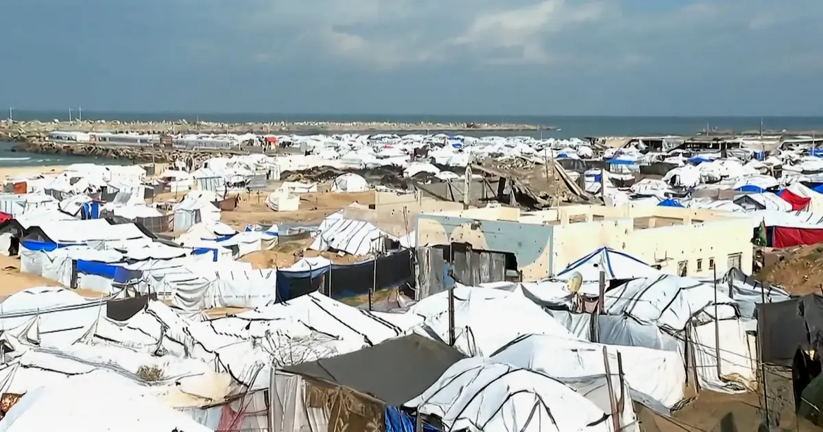 فلسطين – تقرير: منفذ غزة البحري يدفع فاتورة الحرب.. وتلوث واسع النطاق وانهيار في الثروة السمكية