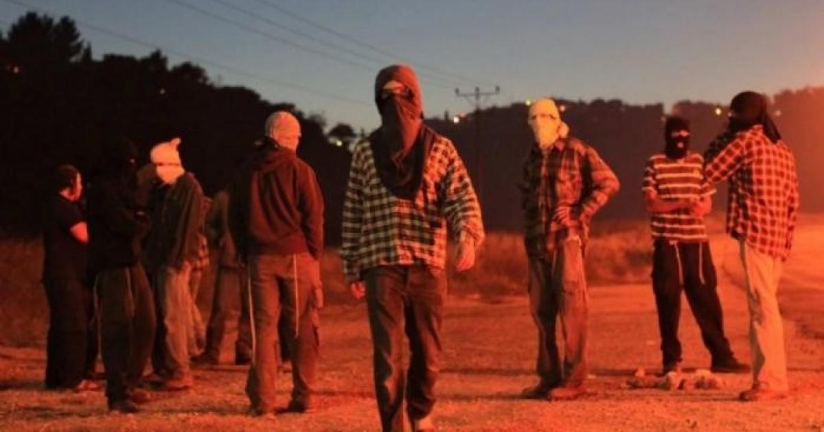 فلسطين – إصابات واعتقالات في اعتداء مستوطنين على مسافر يطا