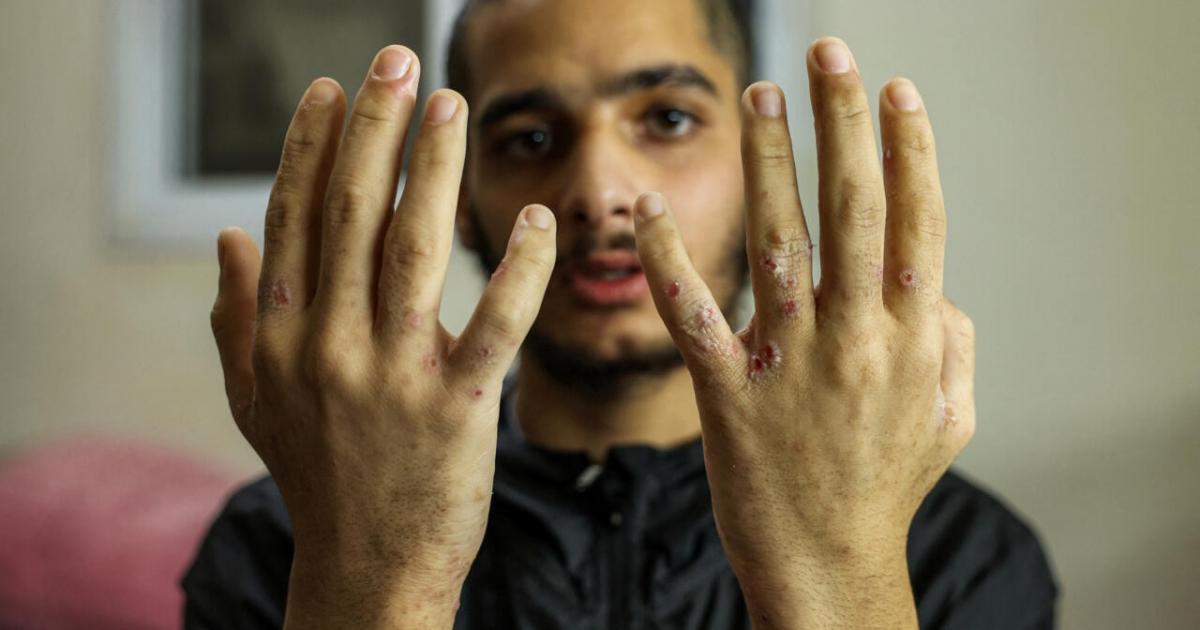 فلسطين – تقرير سجن سدي تيمان.. شهادات تكشف الجحيم الخفي للأسرى الفلسطينيين في عيدهم الوطني