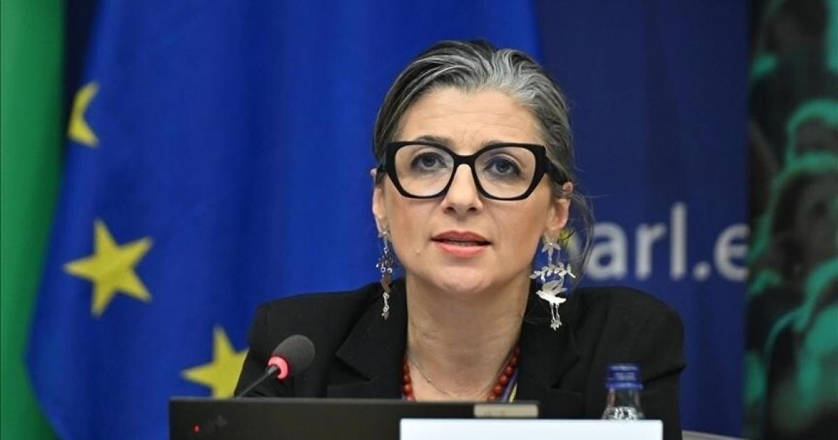 فلسطين – مقرر الأمم المتحدة ألبانيز: الجيش الإسرائيلي هو الأكثر انحطاطا فلسطين – مقرر الأمم المتحدة ألبانيز: الجيش الإسرائيلي هو الأكثر انحطاطا