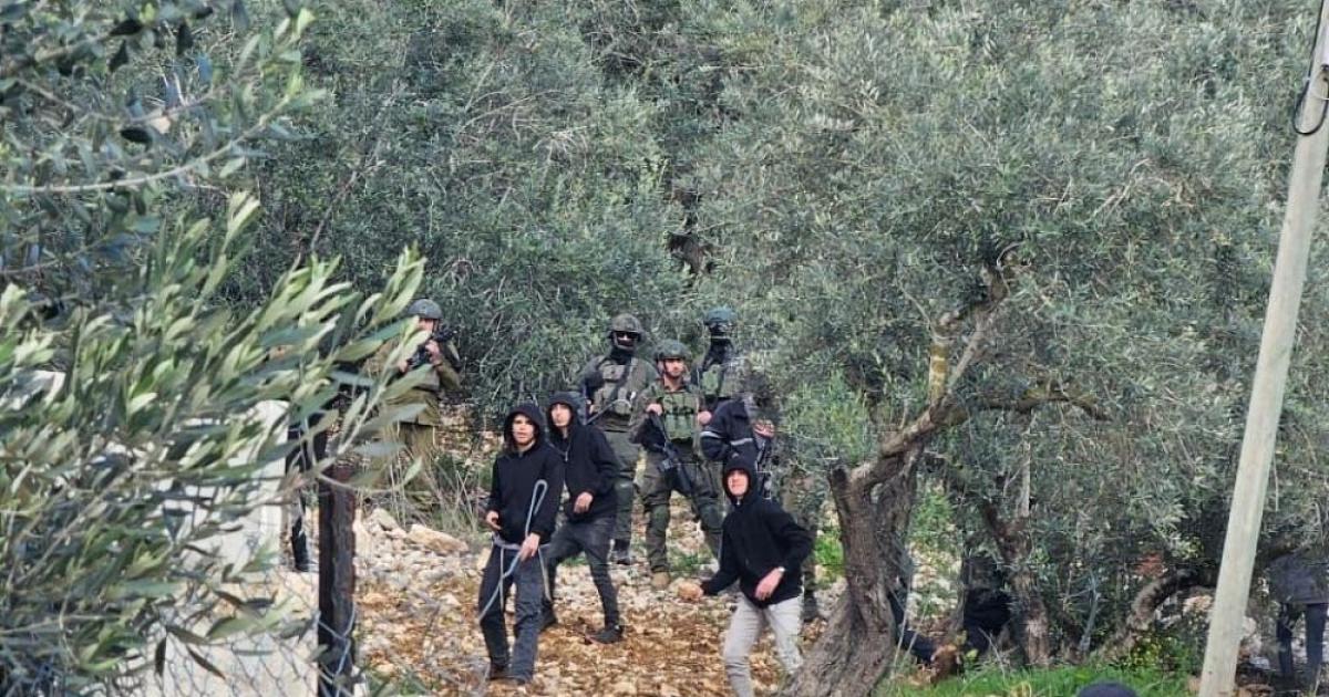 فلسطين – إصابة مواطن بهجوم مستوطنين شمال رام الله فلسطين – إصابة مواطن بهجوم مستوطنين شمال رام الله