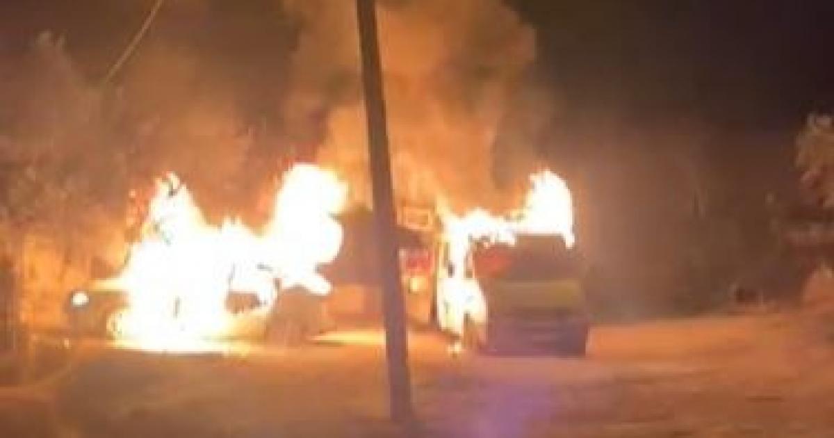 فلسطين – “حرق المركبات وقطع الأشجار”. مستوطنون يهاجمون بيت أمرين واللبان الشرقية