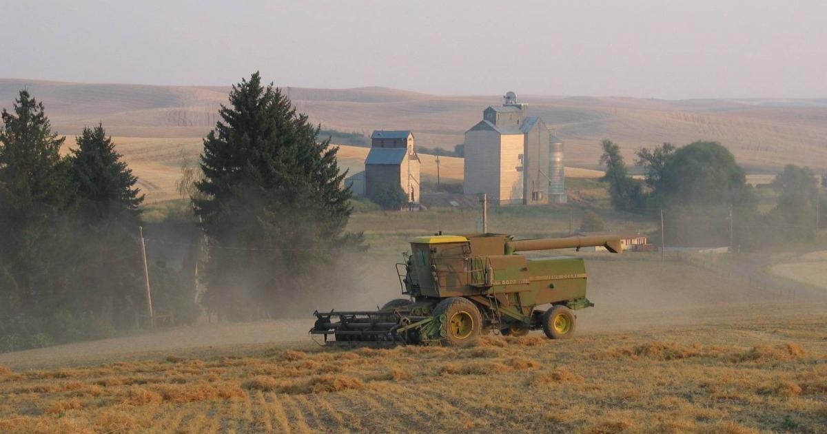 فلسطين – صدمة الأسمدة تهدد الأمن الغذائي العالمي.. الحرب على إيران تعطل الإمدادات وتضغط على المزارعين فلسطين – صدمة الأسمدة تهدد الأمن الغذائي العالمي.. الحرب على إيران تعطل الإمدادات وتضغط على المزارعين