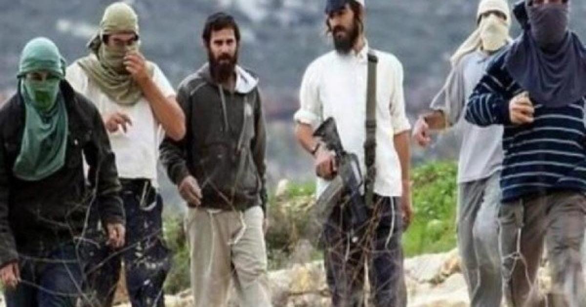 فلسطين – مستوطنون يهود يعتدون على ممتلكات المواطنين في مخماس