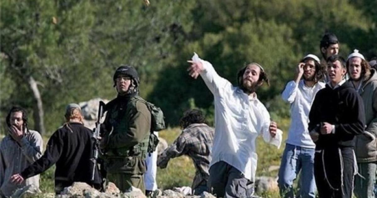 فلسطين – مستوطنون يقتحمون خلايل اللوز جنوب شرق بيت لحم