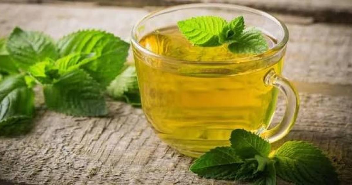 فلسطين – فوائد الشاي الأخضر.. الخبراء يوضحون تأثيره على الجسم والدماغ فلسطين – فوائد الشاي الأخضر.. الخبراء يوضحون تأثيره على الجسم والدماغ