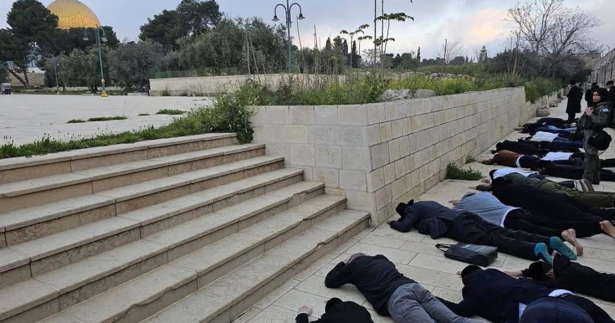 فلسطين – بالفيديو: عشرات المستوطنين يقتحمون المسجد الأقصى ويؤدون طقوس تلمودية