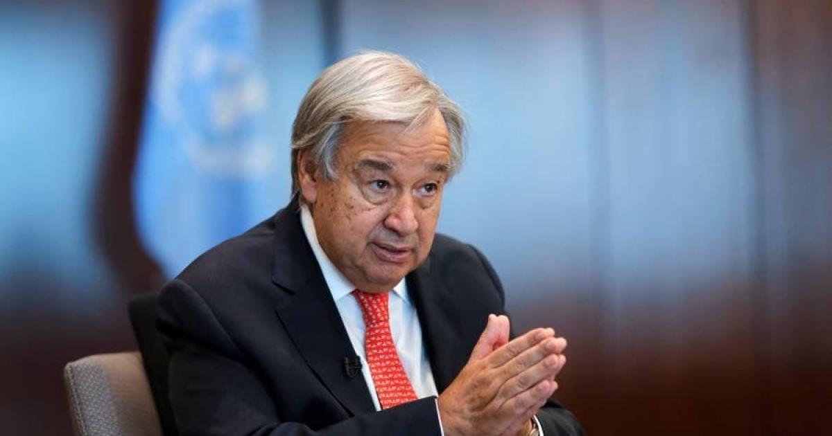 فلسطين – غوتيريش يحذر: أزمة مضيق هرمز تهدد بالتسبب في أزمة غذاء عالمية فلسطين – غوتيريش يحذر: أزمة مضيق هرمز تهدد بالتسبب في أزمة غذاء عالمية