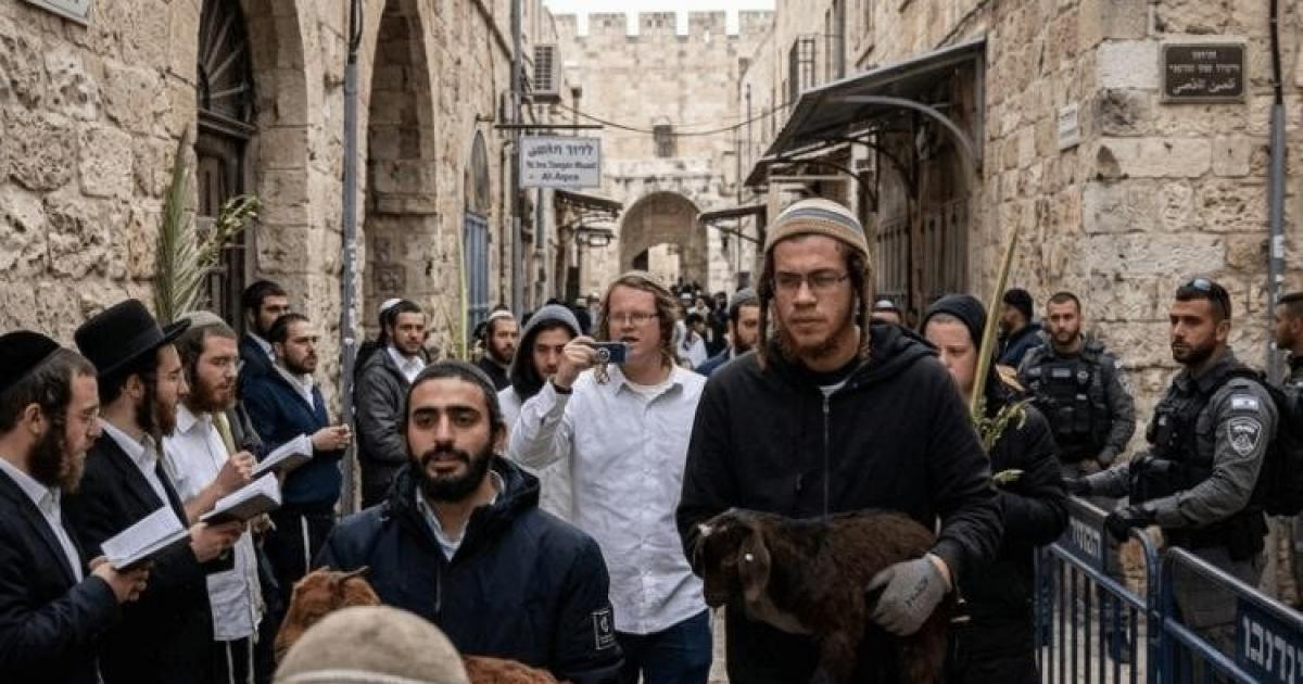 فلسطين – باحث مقدسي: توثيق 7 محاولات إدخال “ذبيحة الفصح” إلى المسجد الأقصى دون نجاح أي منها