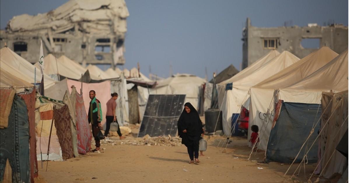 فلسطين – الأونروا تحذر من تفاقم الأمراض الجلدية في غزة وتسجل أكثر من 125 ألف حالة فلسطين – الأونروا تحذر من تفاقم الأمراض الجلدية في غزة وتسجل أكثر من 125 ألف حالة