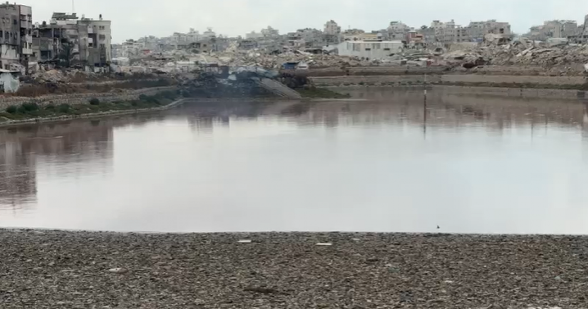 فلسطين – بلدية غزة حصرياً لشهاب: خطر صحي خطير في منطقة “بركة الشيخ رضوان” يهدد حياة السكان فلسطين – بلدية غزة حصرياً لشهاب: خطر صحي خطير في منطقة “بركة الشيخ رضوان” يهدد حياة السكان