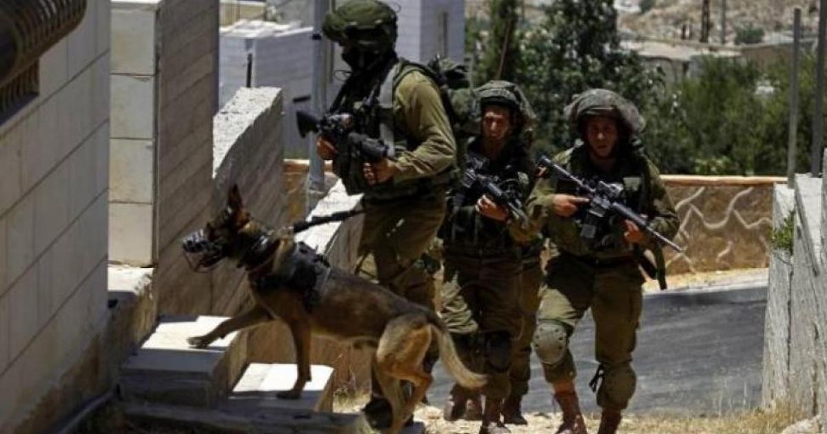 فلسطين – الاحتلال يأمر بوقف العمل في 8 منازل جنوب الخليل فلسطين – الاحتلال يأمر بوقف العمل في 8 منازل جنوب الخليل