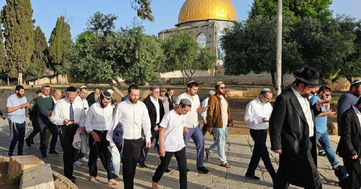فلسطين – خاطر لشهاب: اقتحام المستوطنين للأقصى الجمعة والاعتداء على حراسه والوصول إلى باحة قبة الصخرة خطوة خطيرة